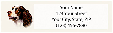 Springer Spaniel Return Address Label