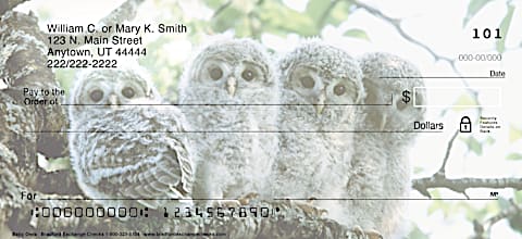 Baby Owls Personal Checks