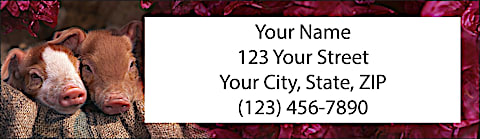 Pigs Return Address Label