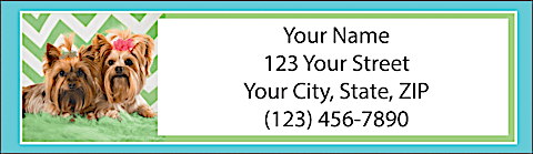Chevron Yorkshire Terrier Address Labels
