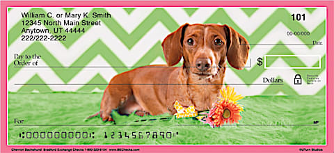 Chevron Dachshund Personal Checks